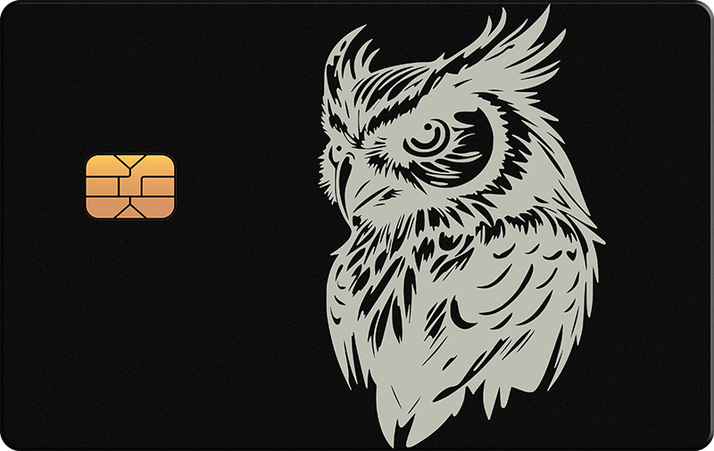 Owl 3